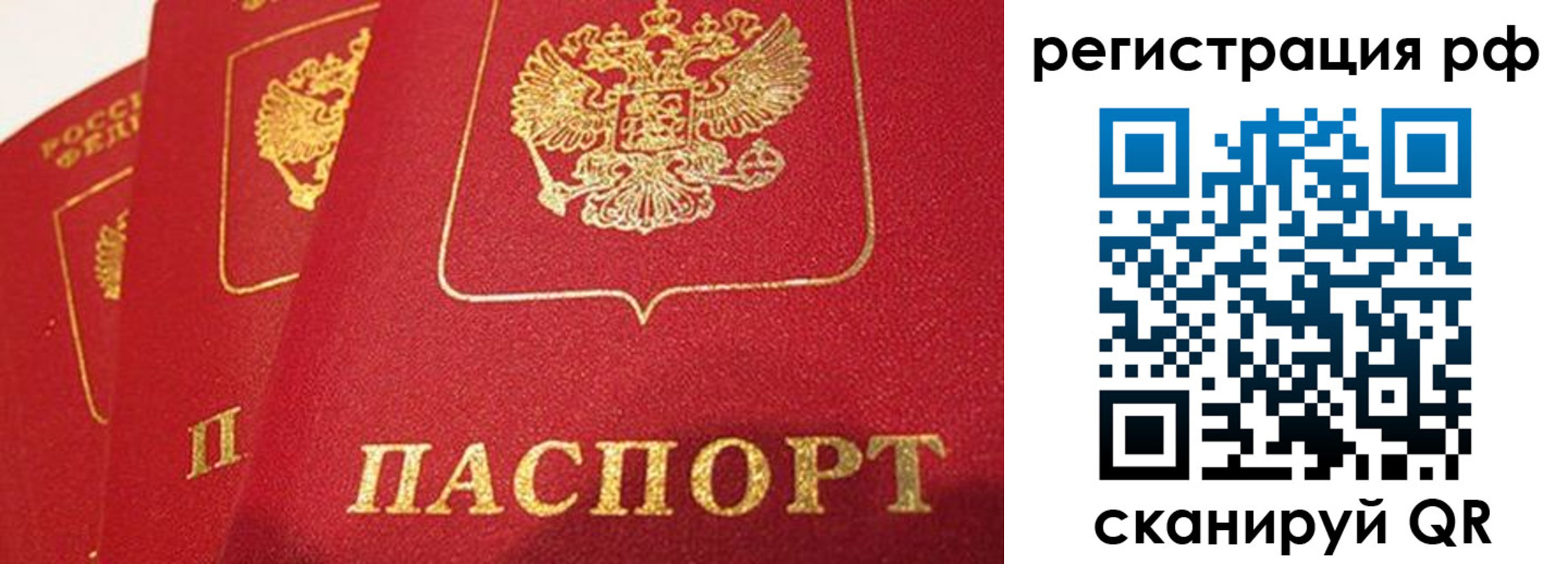 прописка поиск в Котельниково
